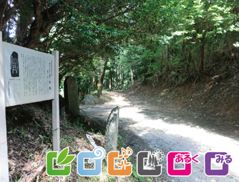 サイノカミ峠
