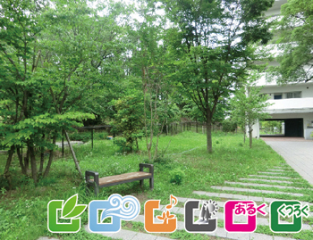 どんぐり山