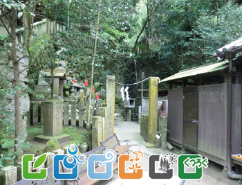 天照大神高座神社（河内高安井大岩戸神寺）