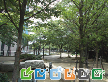 忠岡町役場周回緑地帯