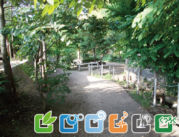 ひつじ公園内遊歩道