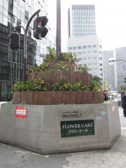 シンボルグリーン東梅田植替え後写真1