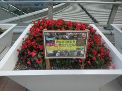 カリヨン広場花壇の写真3
