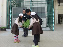 中津小の菜の花出荷式写真1