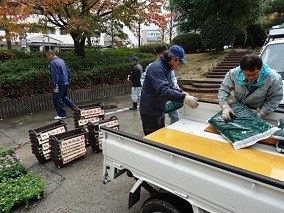 花苗の植え付け作業2