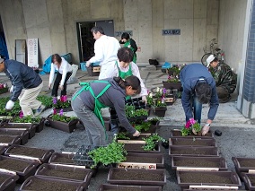 花苗の植え付け作業1