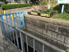 プランター設置場所2