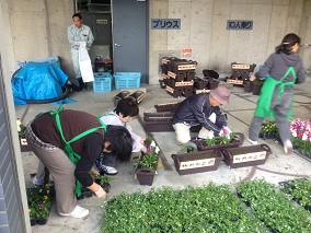 花苗の植え付け作業2