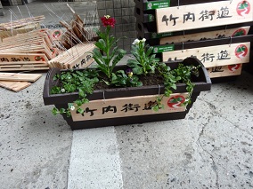花苗が植え付けられたプランター