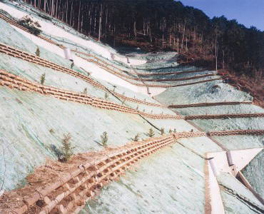 木柵を使用した山腹工の写真