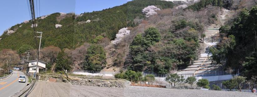 箕面市上止々呂美（復旧治山事業）の写真