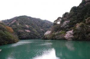 風景3