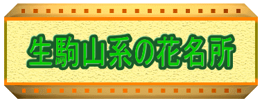 生駒山系の花名所