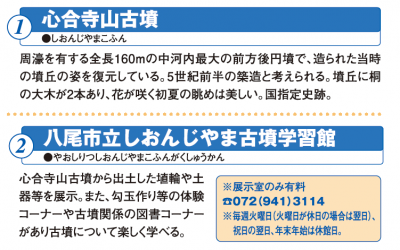 心合寺山古墳、八尾市立しんおんじやま古墳学習館