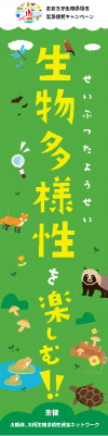 画像です。キャンペーンのぼり