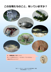 外来生物啓発リーフレット