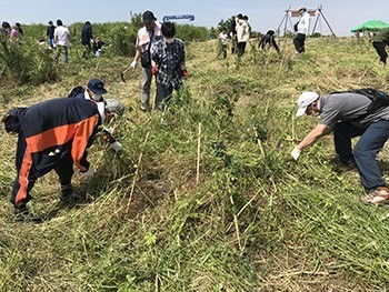 草刈りの様子