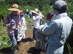 みんなで草刈り応援隊2