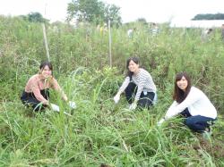 草刈写真1