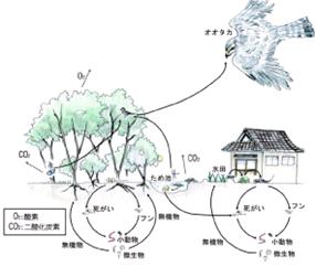 里地里山のイメージ