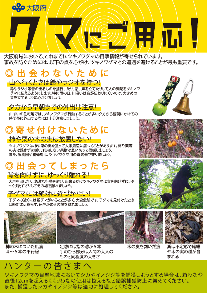 クマにご用心!(表)