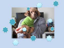 譲渡された犬たち8