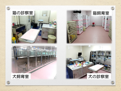 飼育室や診察室の様子