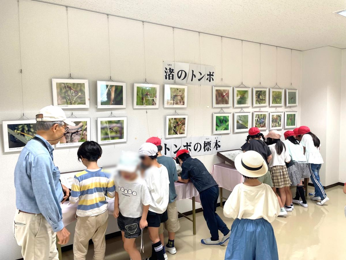 標本観察