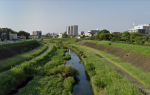 河川堤防状況写真