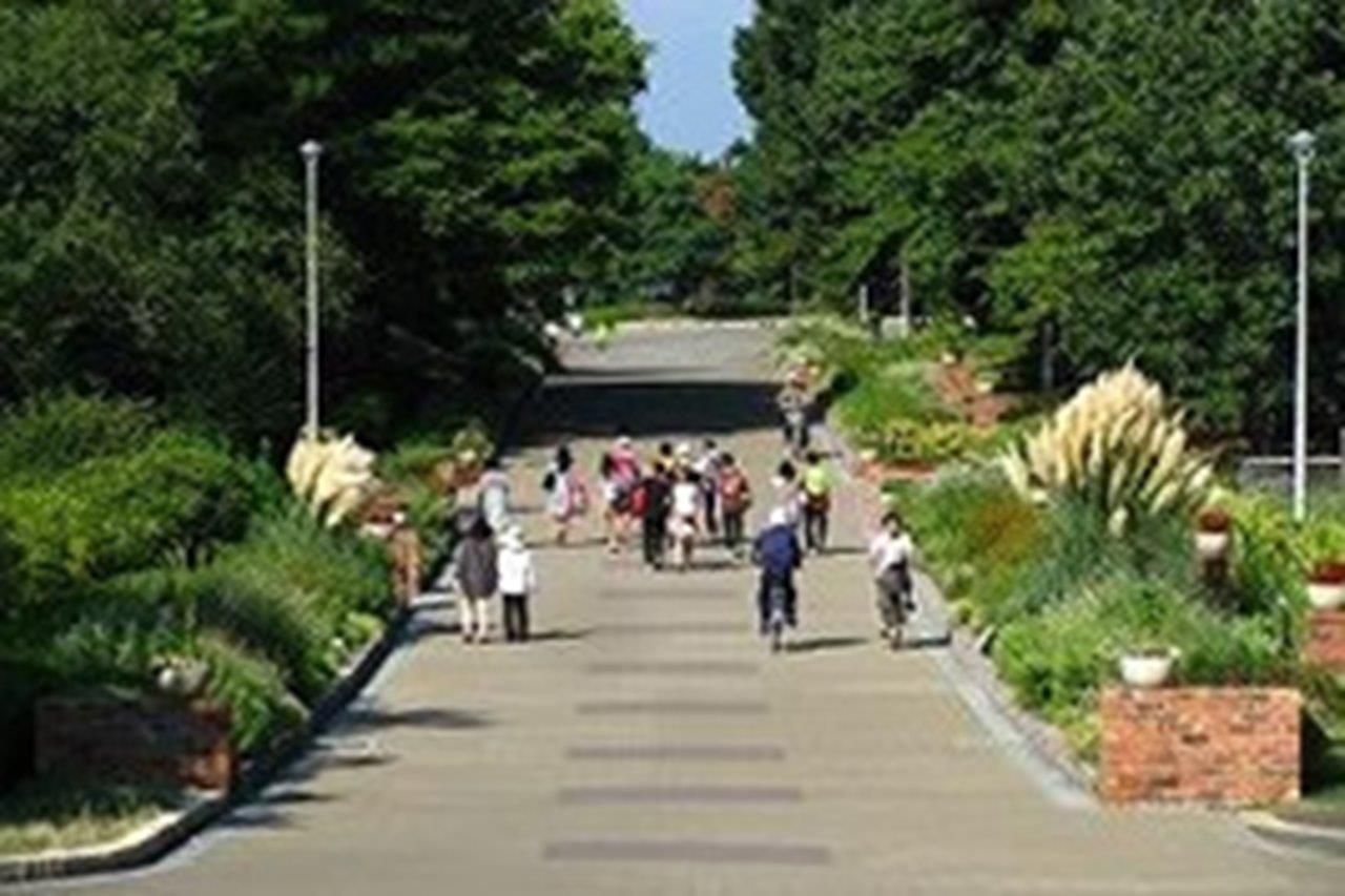 人々が集う公園の風景