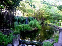 せせらぎ水路にある滝の様子