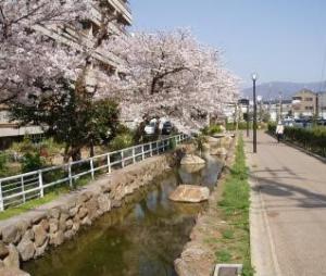 鴻池水路
