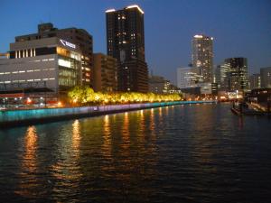 国際会議場対岸ライトアップ（夏）