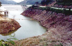 画像です。貯水池斜面の緑化前の状況写真