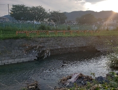 施工前　水無瀬川