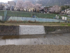 施工後　水無瀬川