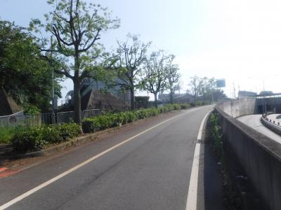 作業後の写真