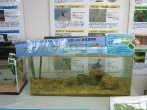 2013水族館ー2