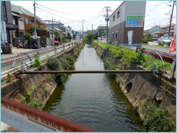 加茂4号橋上流改修前