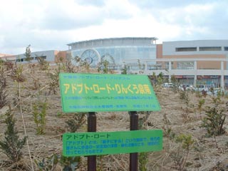 画像です。アドプトロードりんくう泉南1