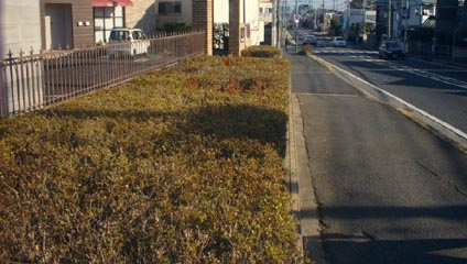 アドプトロード男里
