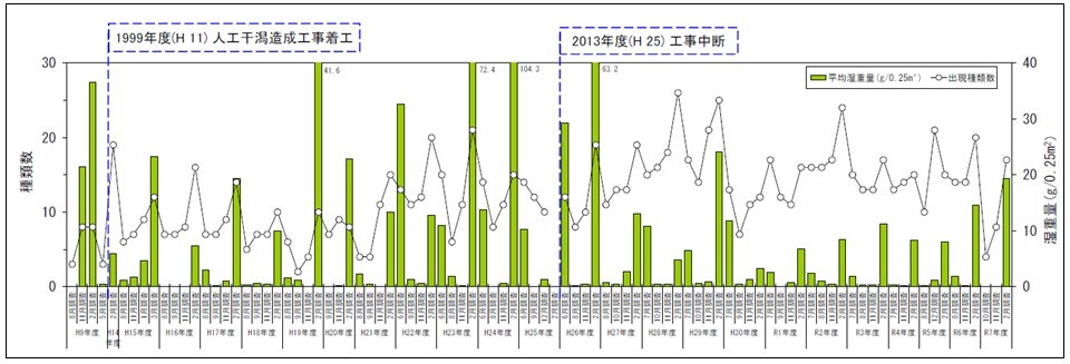 付着生物（植物）