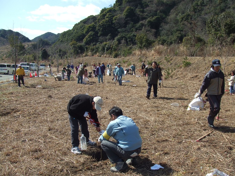 財団法人日本宝くじ協会から寄付をいただいた桜の写真です。