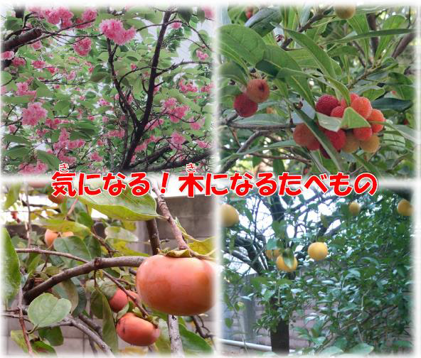 絵本の表紙の画像