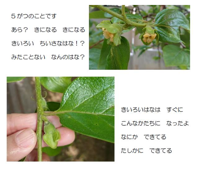 絵本に掲載している写真の画像