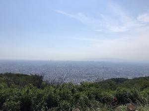 大阪平野を眺めるなるかわ園地のぼくらの広場