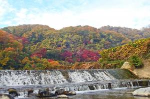 三好山の紅葉を背景とした芥川を眺める摂津峡公園下