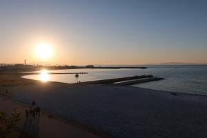 タルイサザンビーチの夕日を眺める泉南ロングパークメモリーズツリー展望台