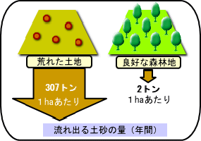 画像です。土が急激に流れ出るのを防ぐ働き