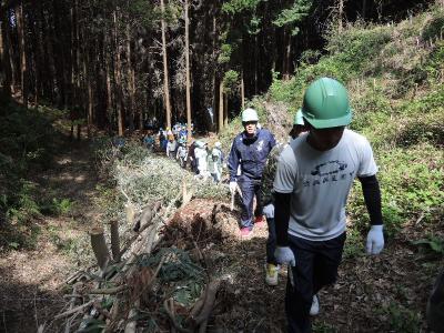 植栽地への移動の様子